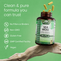 Sea Moss, Black Seed Oil, Bladderwrack, Turmeric, Ashwagandha, Burdock, Vitamin C, D3, Yellow Dock Root, Manuka, Dandelion - 90 capsules