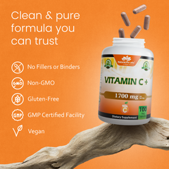 Vitamin C with Vitamin D3, Zinc, Elderberry & Ginger root – 100 Capsules