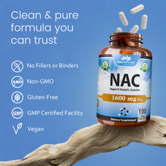 N-Acetyl L-Cysteine (NAC) - 1600 mg - 100 Capsules