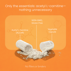 Acetyl L-Carnitine (ALCAR) 1500 mg – 100 Capsules