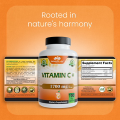 Vitamin C with Vitamin D3, Zinc, Elderberry & Ginger root – 100 Capsules