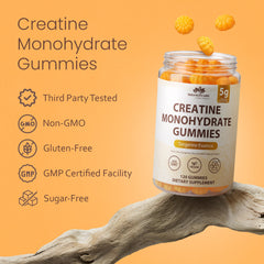 Creatine Monohydrate Gummies - 5g - Tangerine Flavor - 120 Gummies