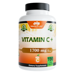 Vitamin C with Vitamin D3, Zinc, Elderberry & Ginger root – 100 Capsules