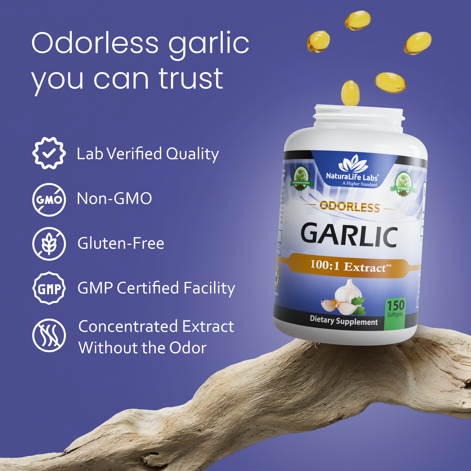 l carnitine garlic Black Extract Capsules l carnitine and garlick extract