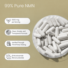 NMN 1000 mg per Serving – Nicotinamide Mononucleotide – 60 Veg Capsules