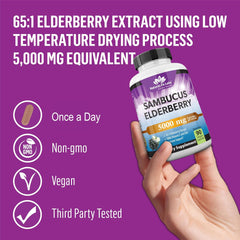 Elderberry with Zinc & Vitamin C - 90 capsules