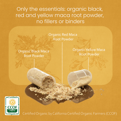 Organic Maca Root 1900 mg – 150 Capsules