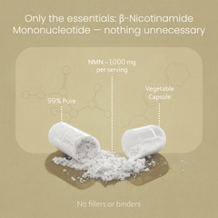 NMN 1000 mg per Serving – Nicotinamide Mononucleotide – 60 Veg Capsules